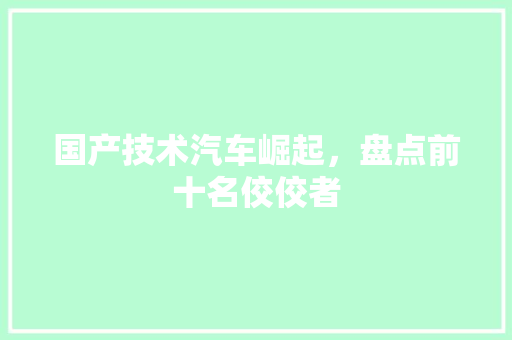 国产技术汽车崛起，盘点前十名佼佼者