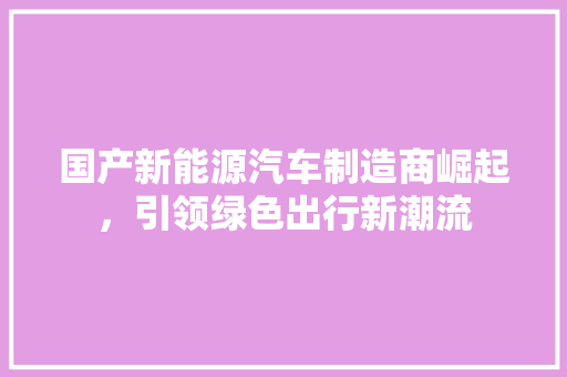 国产新能源汽车制造商崛起，引领绿色出行新潮流