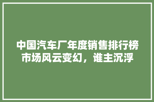 中国汽车厂年度销售排行榜市场风云变幻，谁主沉浮