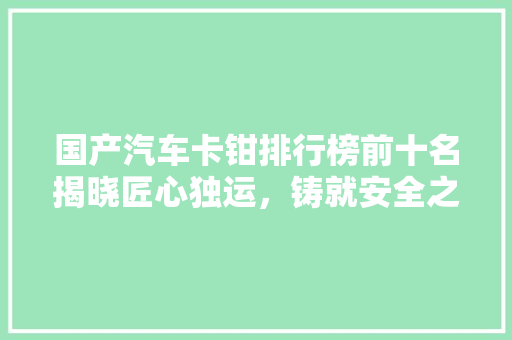 国产汽车卡钳排行榜前十名揭晓匠心独运,铸就安全之盾 第1张 国产汽车卡钳排行榜前十名揭晓匠心独运,铸就安全之盾 第1张
