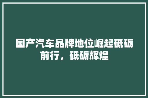 国产汽车品牌地位崛起砥砺前行，砥砺辉煌  第1张
