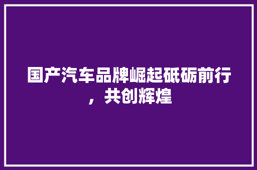 国产汽车品牌崛起砥砺前行，共创辉煌