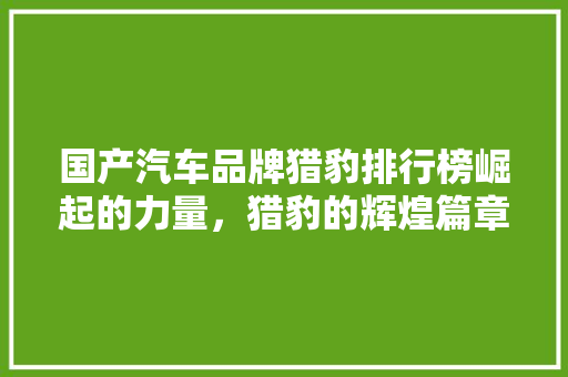 国产汽车品牌猎豹排行榜崛起的力量，猎豹的辉煌篇章  第1张
