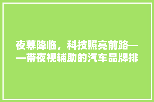夜幕降临，科技照亮前路——带夜视辅助的汽车品牌排行榜