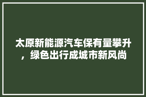 太原新能源汽车保有量攀升，绿色出行成城市新风尚