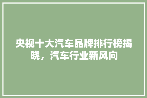 央视十大汽车品牌排行榜揭晓，汽车行业新风向  第1张