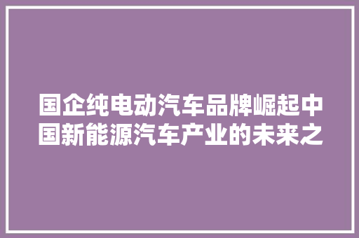国企纯电动汽车品牌崛起中国新能源汽车产业的未来之星
