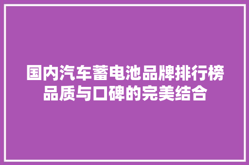 国内汽车蓄电池品牌排行榜品质与口碑的完美结合