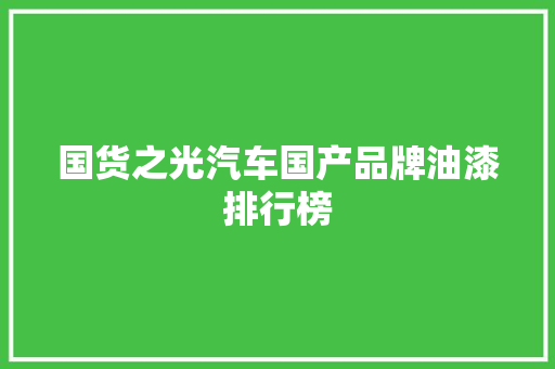 国货之光汽车国产品牌油漆排行榜  第1张