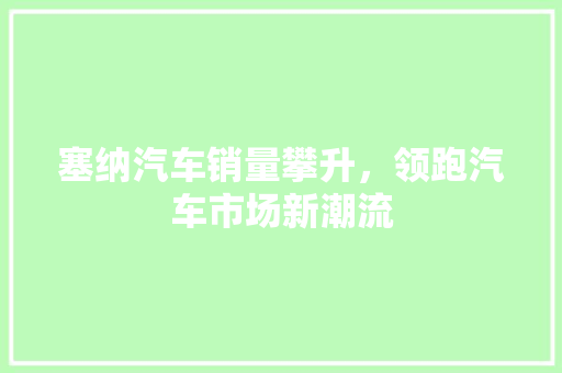 塞纳汽车销量攀升，领跑汽车市场新潮流