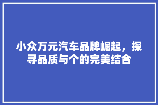 小众万元汽车品牌崛起，探寻品质与个的完美结合