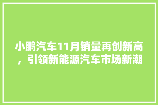 小鹏汽车11月销量再创新高，引领新能源汽车市场新潮流