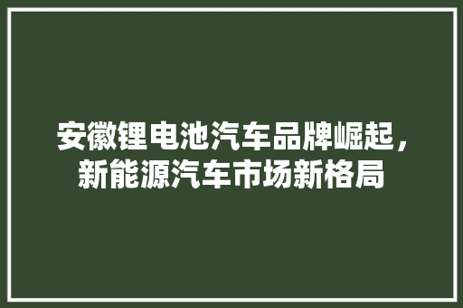安徽锂电池汽车品牌崛起，新能源汽车市场新格局