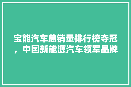 宝能汽车总销量排行榜夺冠，中国新能源汽车领军品牌背后的秘密  第1张