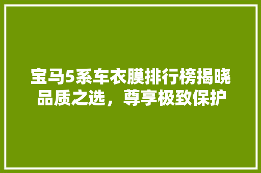 宝马5系车衣膜排行榜揭晓品质之选，尊享极致保护