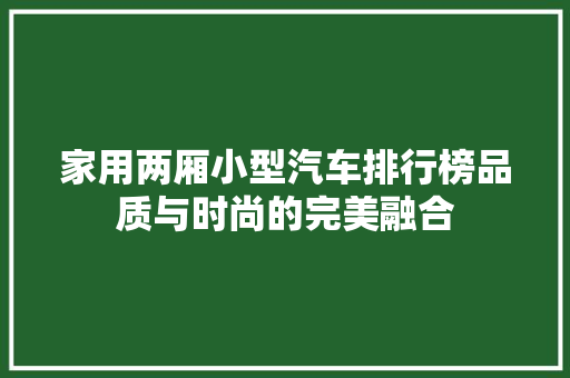 家用两厢小型汽车排行榜品质与时尚的完美融合