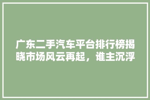 广东二手汽车平台排行榜揭晓市场风云再起，谁主沉浮