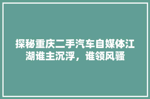探秘重庆二手汽车自媒体江湖谁主沉浮，谁领风骚