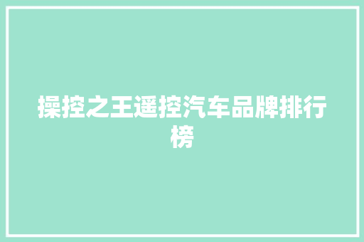 操控之王遥控汽车品牌排行榜