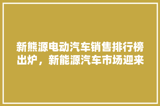 新熊源电动汽车销售排行榜出炉，新能源汽车市场迎来新格局