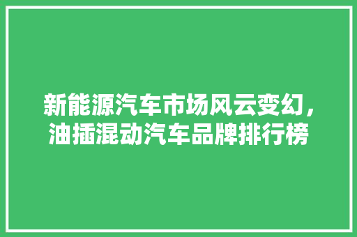 新能源汽车市场风云变幻，油插混动汽车品牌排行榜