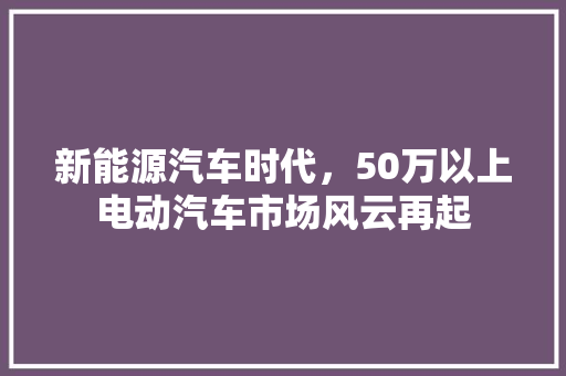 新能源汽车时代，50万以上电动汽车市场风云再起