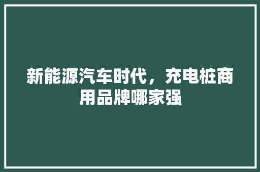 新能源汽车时代，充电桩商用品牌哪家强