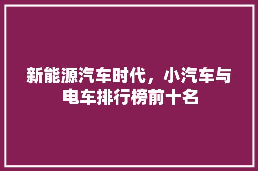 新能源汽车时代，小汽车与电车排行榜前十名