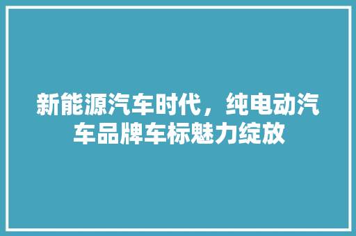 新能源汽车时代，纯电动汽车品牌车标魅力绽放