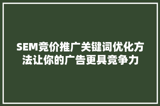 SEM竞价推广关键词优化方法让你的广告更具竞争力