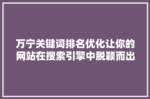 万宁关键词排名优化让你的网站在搜索引擎中脱颖而出 第1张 万宁关键词排名优化让你的网站在搜索引擎中脱颖而出 第1张