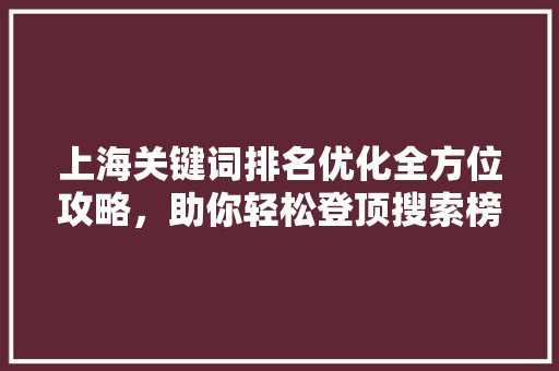 上海关键词排名优化全方位攻略,助你轻松登顶搜索榜单