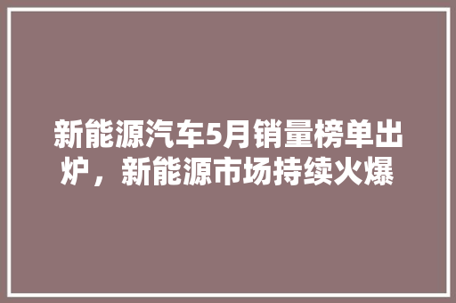 新能源汽车5月销量榜单出炉，新能源市场持续火爆