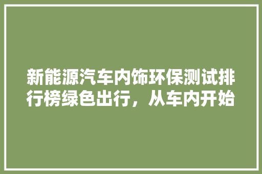 新能源汽车内饰环保测试排行榜绿色出行，从车内开始