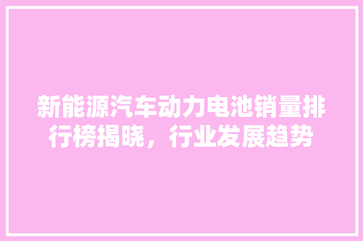 新能源汽车动力电池销量排行榜揭晓，行业发展趋势