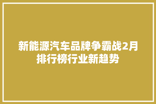 新能源汽车品牌争霸战2月排行榜行业新趋势  第1张
