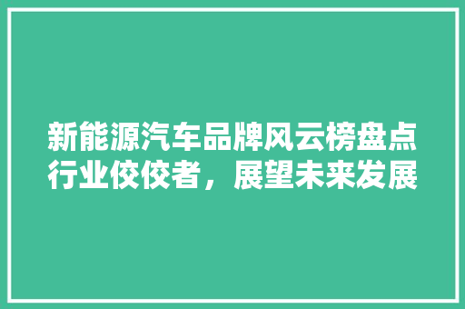 新能源汽车品牌风云榜盘点行业佼佼者，展望未来发展趋势  第1张