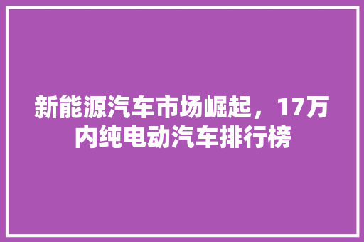 新能源汽车市场崛起，17万内纯电动汽车排行榜