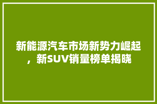 新能源汽车市场新势力崛起，新SUV销量榜单揭晓