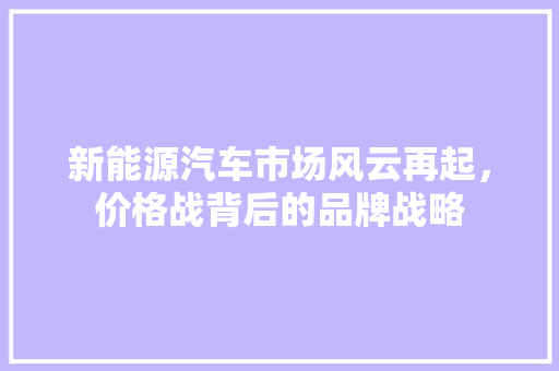新能源汽车市场风云再起，价格战背后的品牌战略