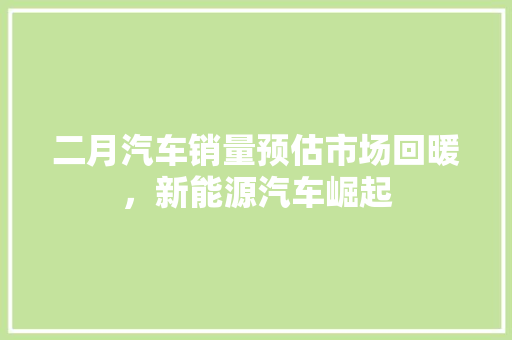 二月汽车销量预估市场回暖，新能源汽车崛起  第1张