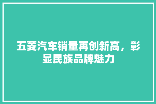 五菱汽车销量再创新高，彰显民族品牌魅力  第1张