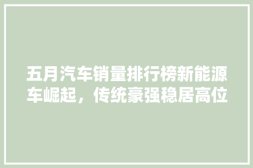 五月汽车销量排行榜新能源车崛起，传统豪强稳居高位