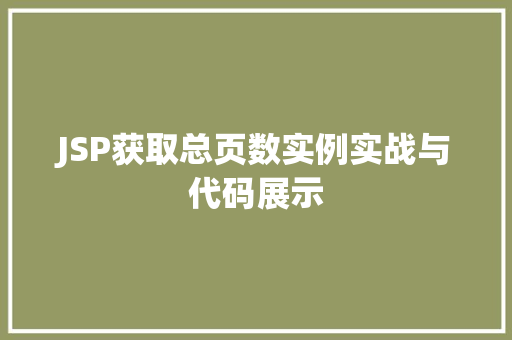 JSP获取总页数实例实战与代码展示