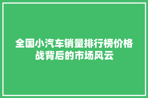 全国小汽车销量排行榜价格战背后的市场风云  第1张