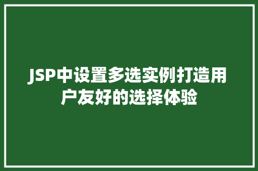 JSP中设置多选实例打造用户友好的选择体验