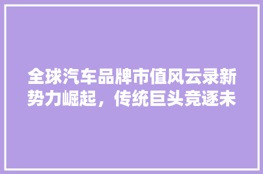 全球汽车品牌市值风云录新势力崛起，传统巨头竞逐未来
