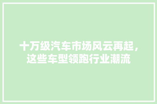 十万级汽车市场风云再起，这些车型领跑行业潮流
