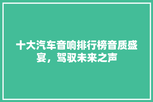 十大汽车音响排行榜音质盛宴，驾驭未来之声