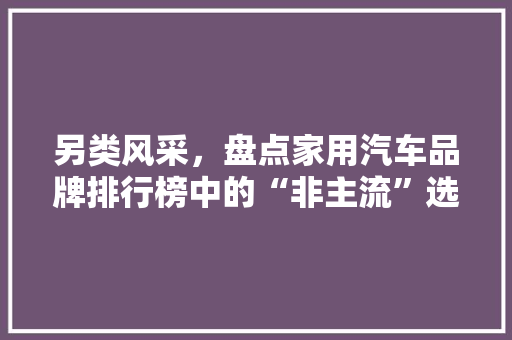 另类风采，盘点家用汽车品牌排行榜中的“非主流”选手